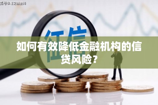 宁洱如何有效降低金融机构的信贷风险？