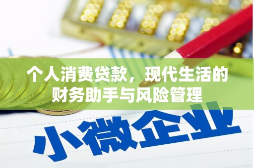 宁洱个人消费贷款，现代生活的财务助手与风险管理