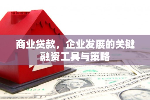 宁洱商业贷款，企业发展的关键融资工具与策略
