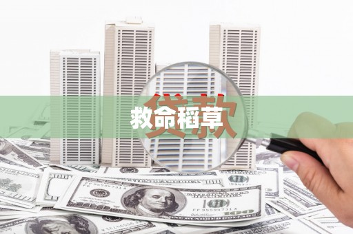 宁洱救命稻草