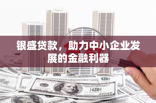 宁洱银盛贷款，助力中小企业发展的金融利器