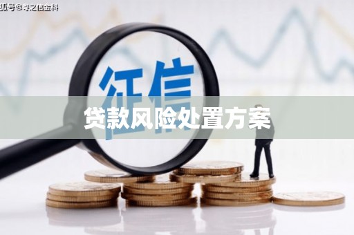 宁洱贷款风险处置方案