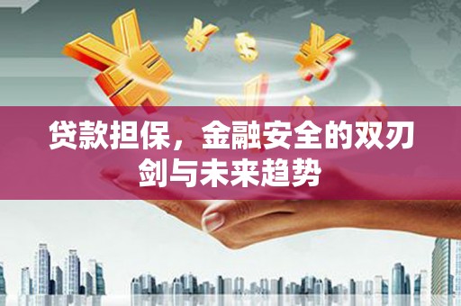 宁洱贷款担保，金融安全的双刃剑与未来趋势