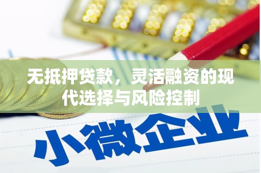 宁洱无抵押贷款，灵活融资的现代选择与风险控制