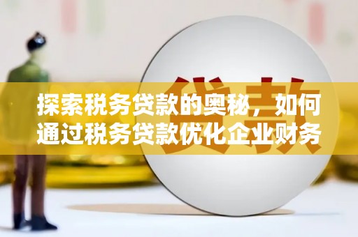 宁洱探索税务贷款的奥秘，如何通过税务贷款优化企业财务