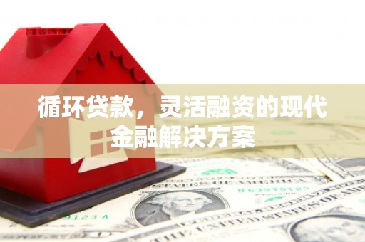 宁洱循环贷款，灵活融资的现代金融解决方案