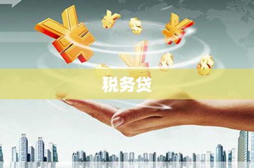 宁洱税务贷