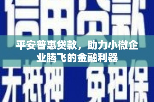 宁洱平安普惠贷款，助力小微企业腾飞的金融利器