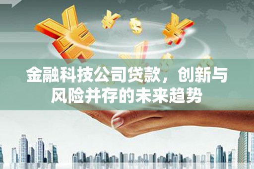 宁洱金融科技公司贷款，创新与风险并存的未来趋势
