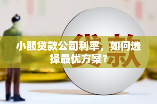 宁洱小额贷款公司利率，如何选择最优方案？
