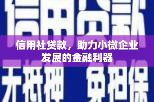 宁洱信用社贷款，助力小微企业发展的金融利器