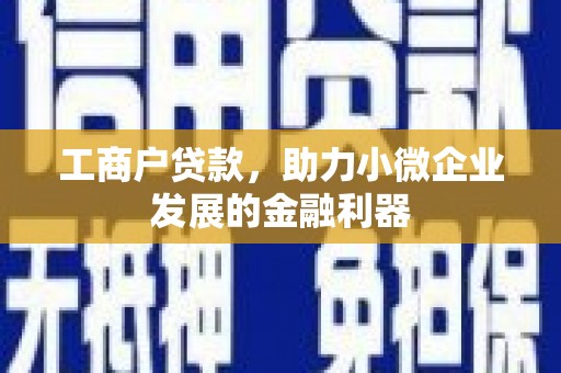宁洱工商户贷款，助力小微企业发展的金融利器