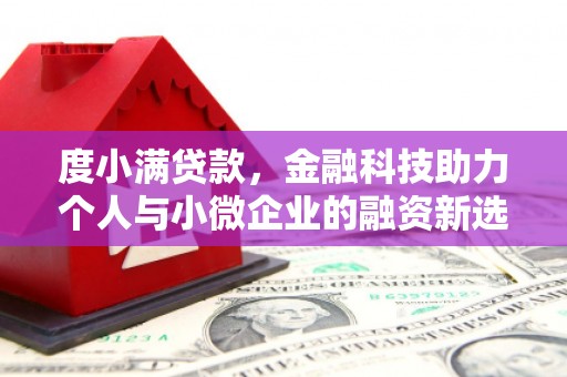 宁洱度小满贷款，金融科技助力个人与小微企业的融资新选择