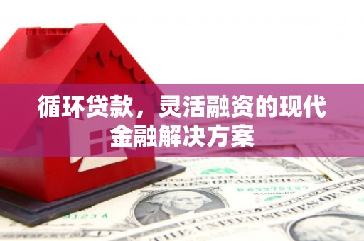 宁洱循环贷款，灵活融资的现代金融解决方案