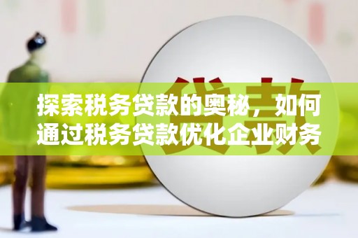 宁洱探索税务贷款的奥秘，如何通过税务贷款优化企业财务