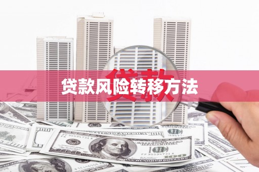 宁洱贷款风险转移方法
