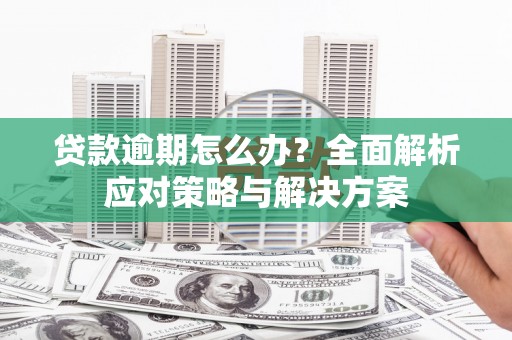宁洱贷款逾期怎么办？全面解析应对策略与解决方案