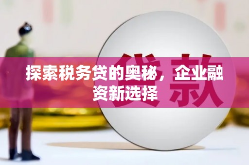 宁洱探索税务贷的奥秘，企业融资新选择