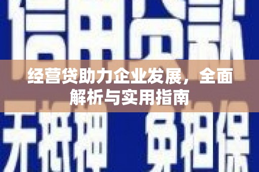 宁洱经营贷助力企业发展，全面解析与实用指南