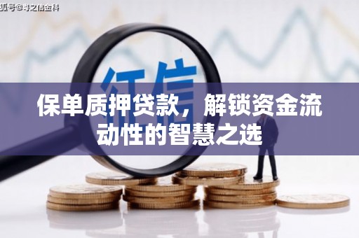 宁洱保单质押贷款，解锁资金流动性的智慧之选