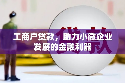 宁洱工商户贷款，助力小微企业发展的金融利器