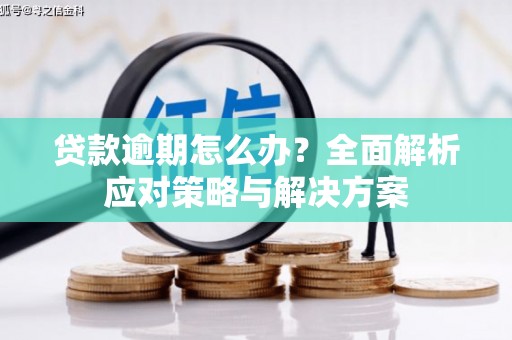 宁洱贷款逾期怎么办？全面解析应对策略与解决方案
