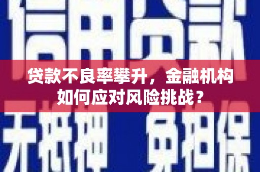 宁洱贷款不良率攀升，金融机构如何应对风险挑战？