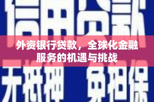 宁洱外资银行贷款，全球化金融服务的机遇与挑战