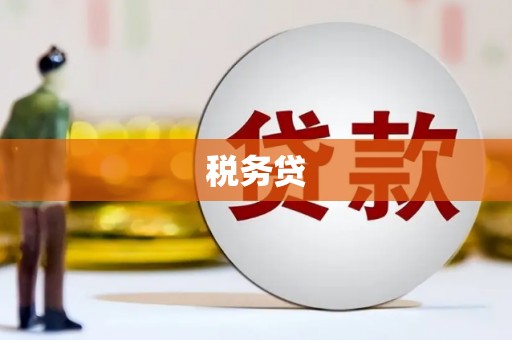 宁洱税务贷