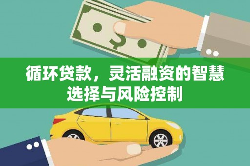 宁洱循环贷款，灵活融资的智慧选择与风险控制