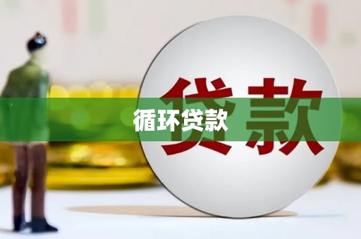 宁洱循环贷款