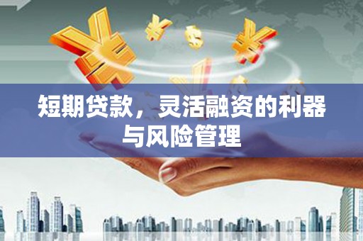 宁洱短期贷款，灵活融资的利器与风险管理