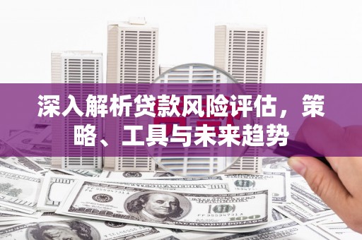 宁洱深入解析贷款风险评估，策略、工具与未来趋势