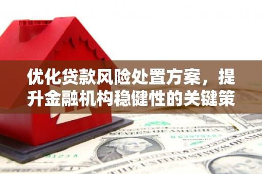 宁洱优化贷款风险处置方案，提升金融机构稳健性的关键策略