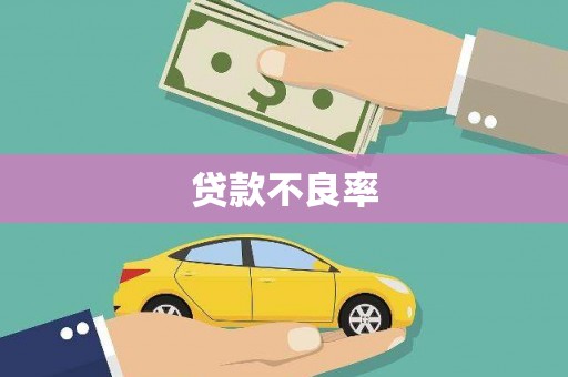 宁洱贷款不良率