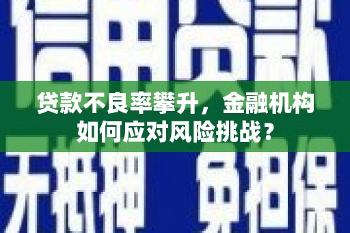 宁洱贷款不良率攀升，金融机构如何应对风险挑战？