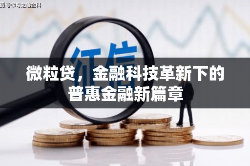 宁洱微粒贷，金融科技革新下的普惠金融新篇章