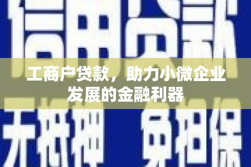 宁洱工商户贷款，助力小微企业发展的金融利器