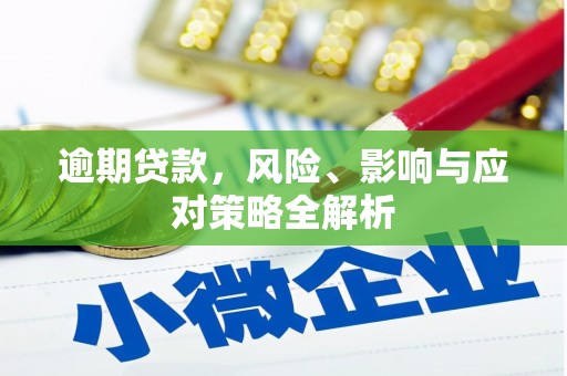 宁洱逾期贷款，风险、影响与应对策略全解析