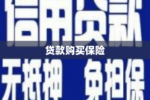 宁洱贷款购买保险