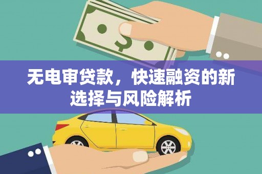 宁洱无电审贷款，快速融资的新选择与风险解析
