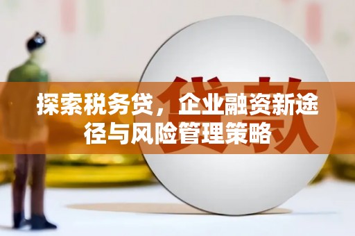 宁洱探索税务贷，企业融资新途径与风险管理策略