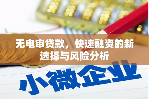 宁洱无电审贷款，快速融资的新选择与风险分析