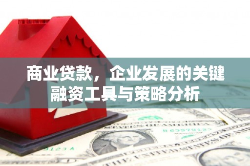 宁洱商业贷款，企业发展的关键融资工具与策略分析