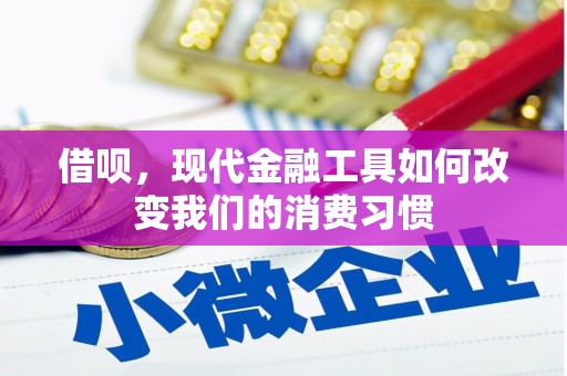 宁洱借呗，现代金融工具如何改变我们的消费习惯