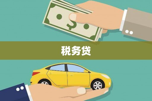 宁洱税务贷