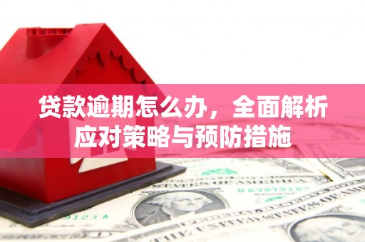 宁洱贷款逾期怎么办，全面解析应对策略与预防措施