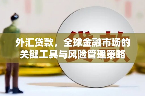 宁洱外汇贷款，全球金融市场的关键工具与风险管理策略