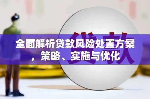 宁洱全面解析贷款风险处置方案，策略、实施与优化
