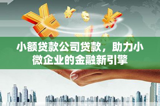 宁洱小额贷款公司贷款，助力小微企业的金融新引擎